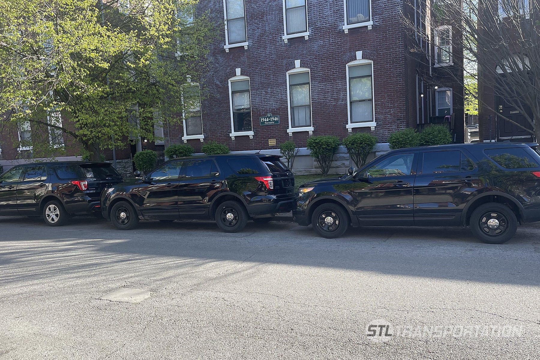 Three black STL Transportation SUVs parked in a row on a St. Louis street